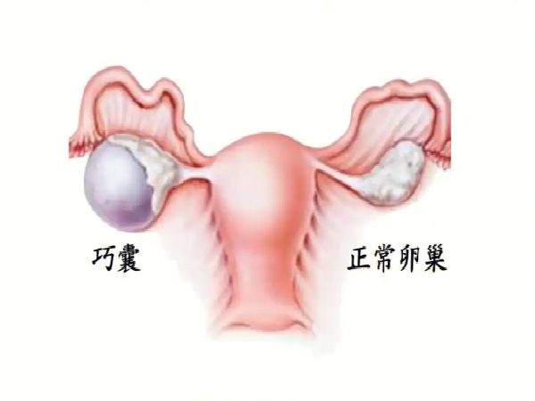 17513663173845.jpg 微信图片_20250701182030.jpg