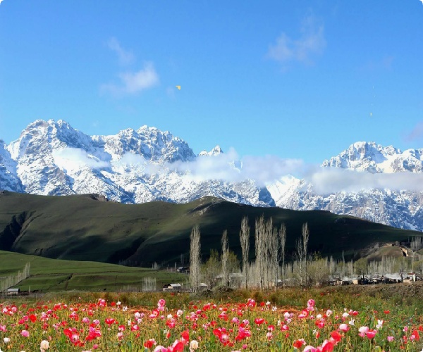 17525679145146.jpg 微信图片_20250506110302.jpg