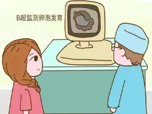 17527511398156.jpg 微信图片_20250524103040.jpg