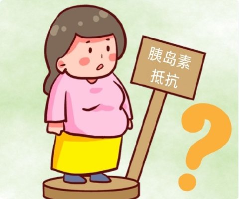 有胰岛素抵抗去吉尔吉斯斯坦做试管促排需要注意哪些事项?