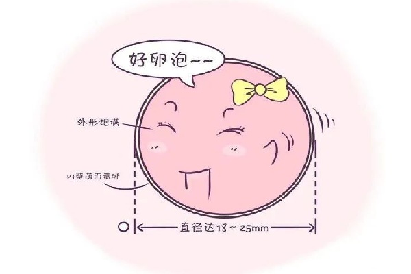 17561124487636.jpg 微信图片_20250627194832.jpg