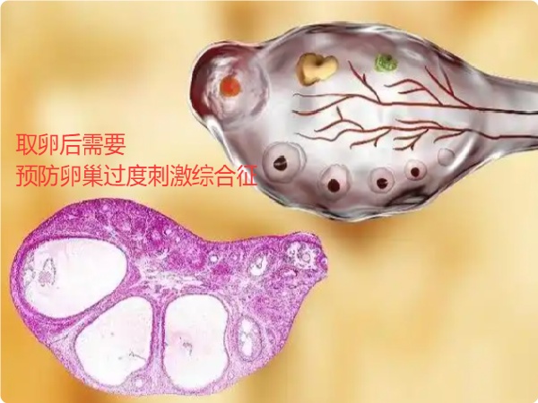 17565477807988.jpg 微信图片_20250830174815_218_491.jpg