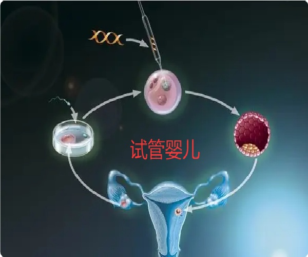 17565485941589.jpg 微信图片_20250617101922.jpg