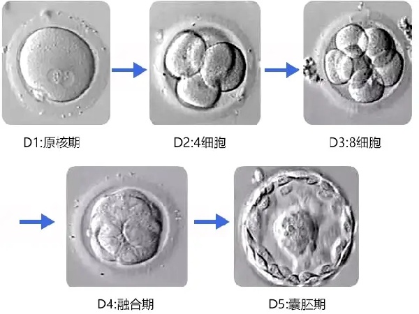 17567221405567.jpg 微信图片_20250901175509_220_491.jpg