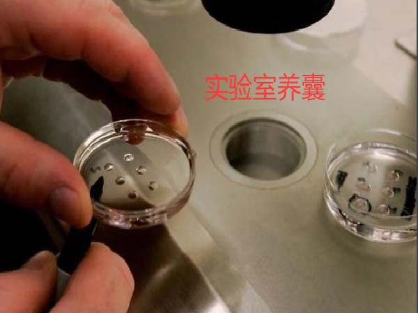 17567221619373.jpg 微信图片_20250901175716_223_491.jpg