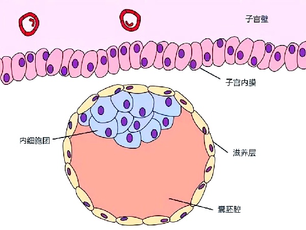 17567221873122.jpg 微信图片_20250830113700_208_491.jpg