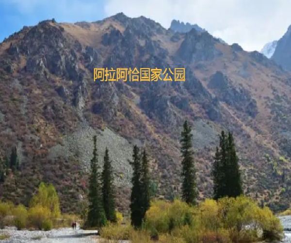 17568055404452.jpg 微信图片_20250902170048_241_491.jpg