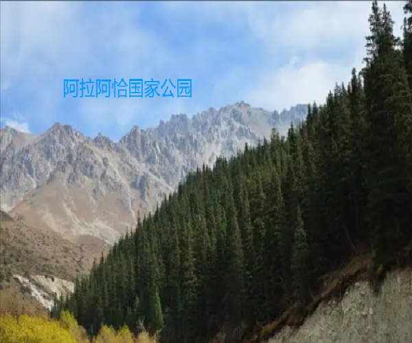 17568055481563.jpg 微信图片_20250902170127_242_491.jpg