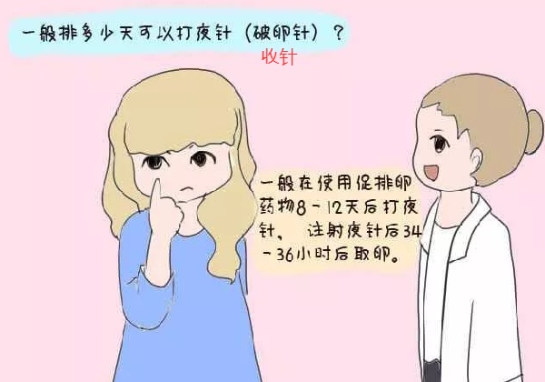 17573867186401.jpg 微信图片_2025-08-15_183306_429.jpg