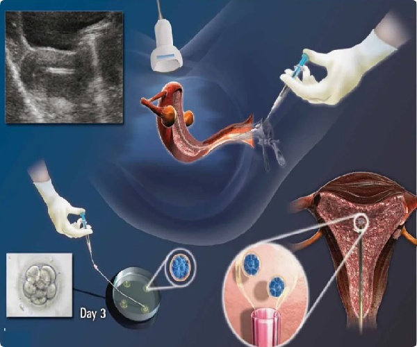 17575623352913.jpg 微信图片_20250515153150.jpg