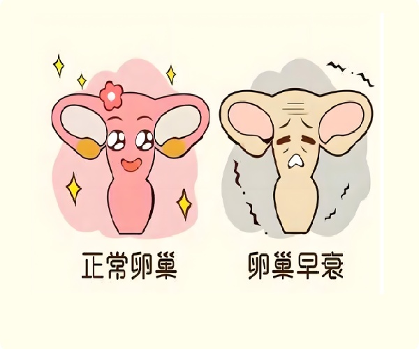 17576495402116.jpg 微信图片_20250516111145 (2).jpg