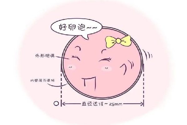 卵泡发育不好是不是去吉尔吉斯斯坦做试管也比较难