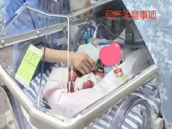 17589677343254.jpg 微信图片_20250927143856_894_491.jpg